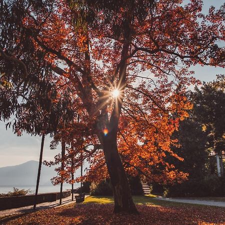 Hotel Villa Emden Brissago Eksteriør billede