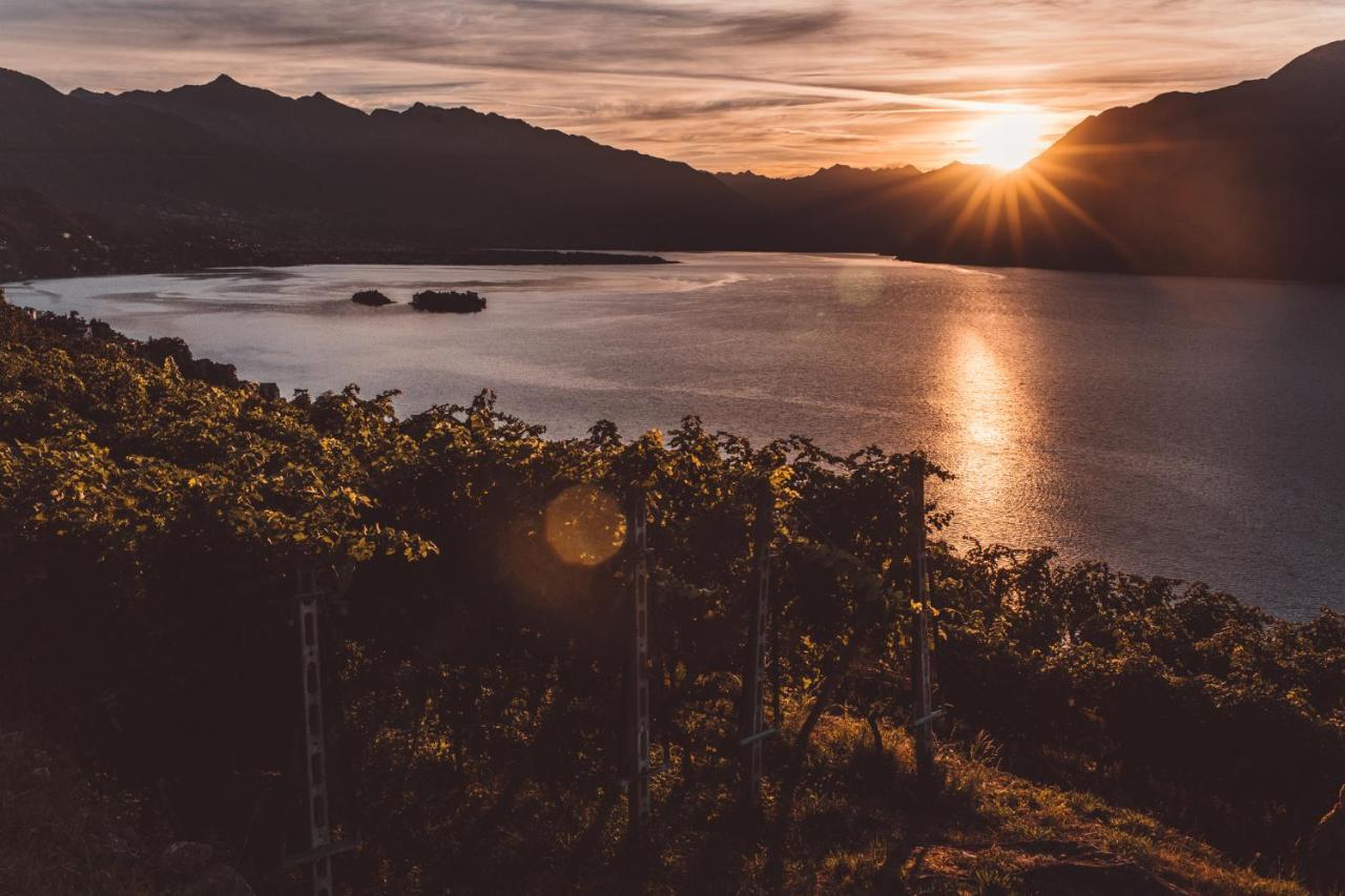 Hotel Villa Emden Brissago Eksteriør billede